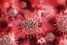 Koronawirus w Brzozówce - negatywne wyniki testów