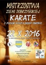 Mistrzostwa Ziemi Dobrzyńskiej Karate